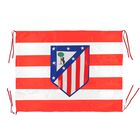 HORIZONTAL STRIPED FLAG